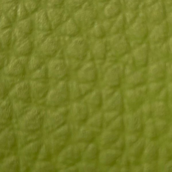 Wasabi 400