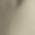 Buttercream 22319