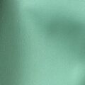 Leaf 50897